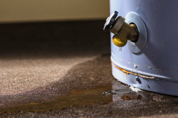 Best 24-hour water damage restoration  in Chester, IL