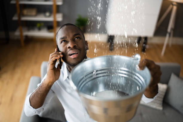 Best Ceiling water damage repair  in Chester, IL