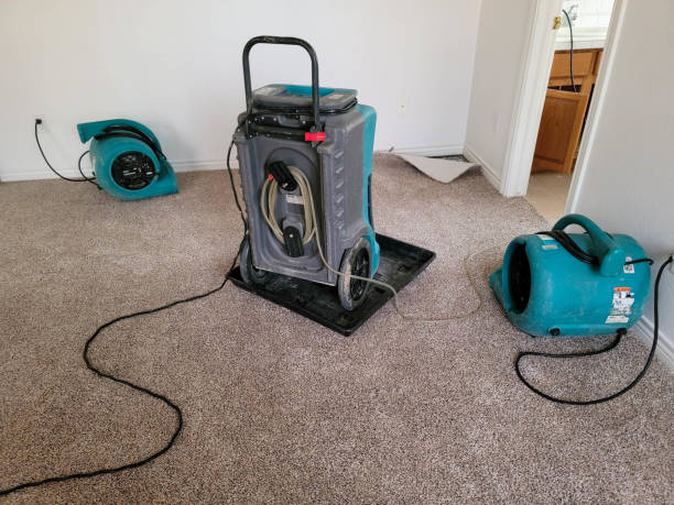 Best Flooded house restoration  in Chester, IL