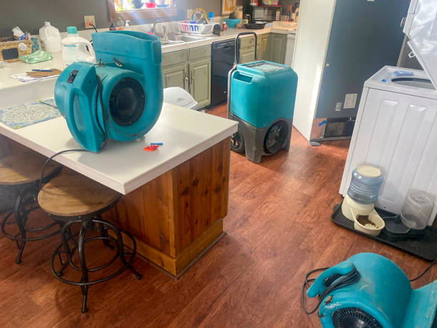 Best 24/7 water damage repair  in Chester, IL