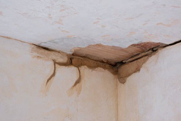 Best Water damage restoration near me  in Chester, IL