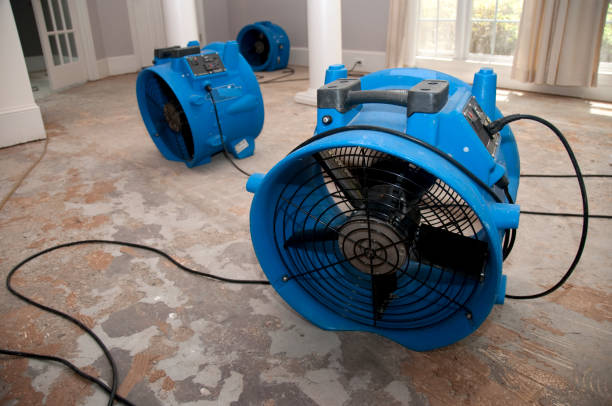 Best Flood damage cleanup  in Chester, IL