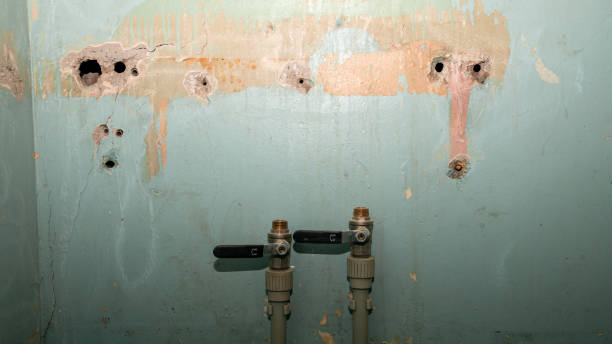 Best Water damage restoration process  in Chester, IL