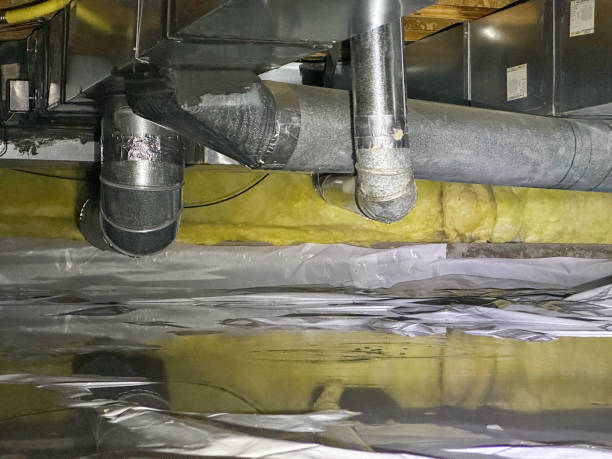 Reliable Chester, IL Water damage restoration Solutions