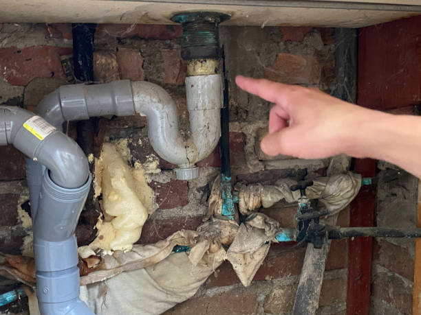 Best Sewage cleanup and water damage restoration  in Chester, IL
